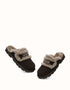 AUSTRALIAN SHEPHERD® Rilee